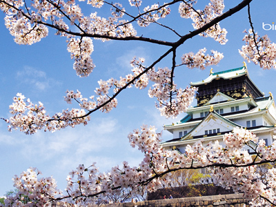 【化橘紅賞花康養文化之旅】2025化橘紅賞花活動主會場-化州橘州生態公園、賞花嘉年華純玩1天【首發團特價59元/人，僅限3月15日】